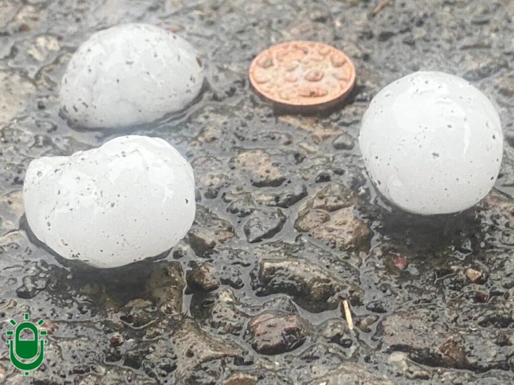 WhatsApp Image 2024-06-25 at 18.39.07