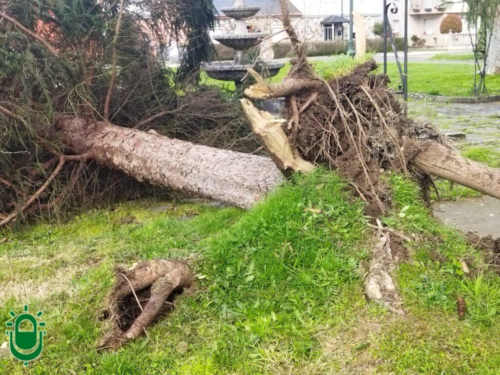 actuaciones Bomberos (4)