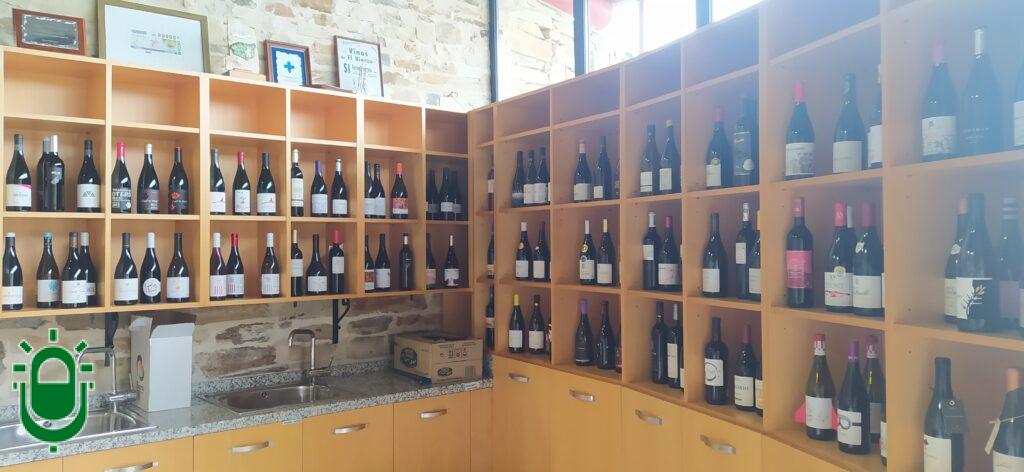 botellas vino del Bierzo en el Consejo Regulador (1) (1)
