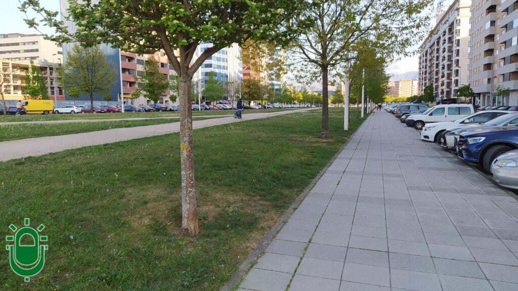 Perspectiva bulevar Rosaleda