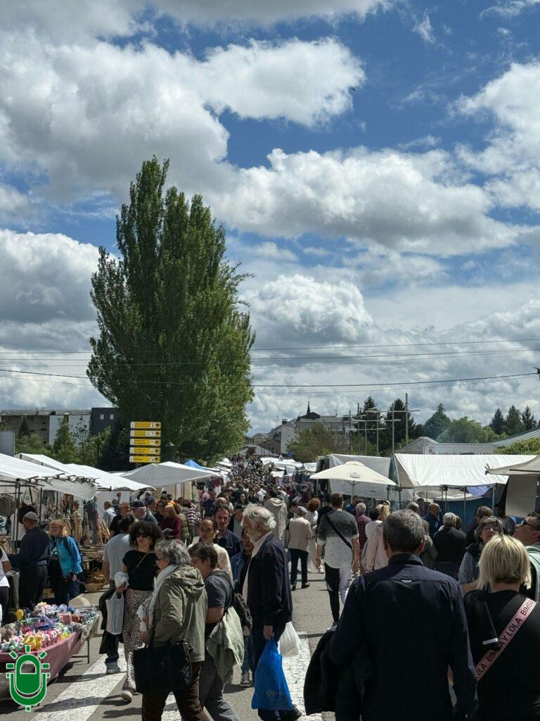 WhatsApp Image 2025-05-01 at 13.38.07