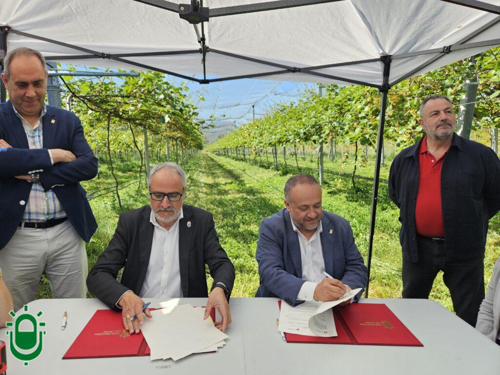 WhatsApp Image 2025-05-29 at 11.56.13