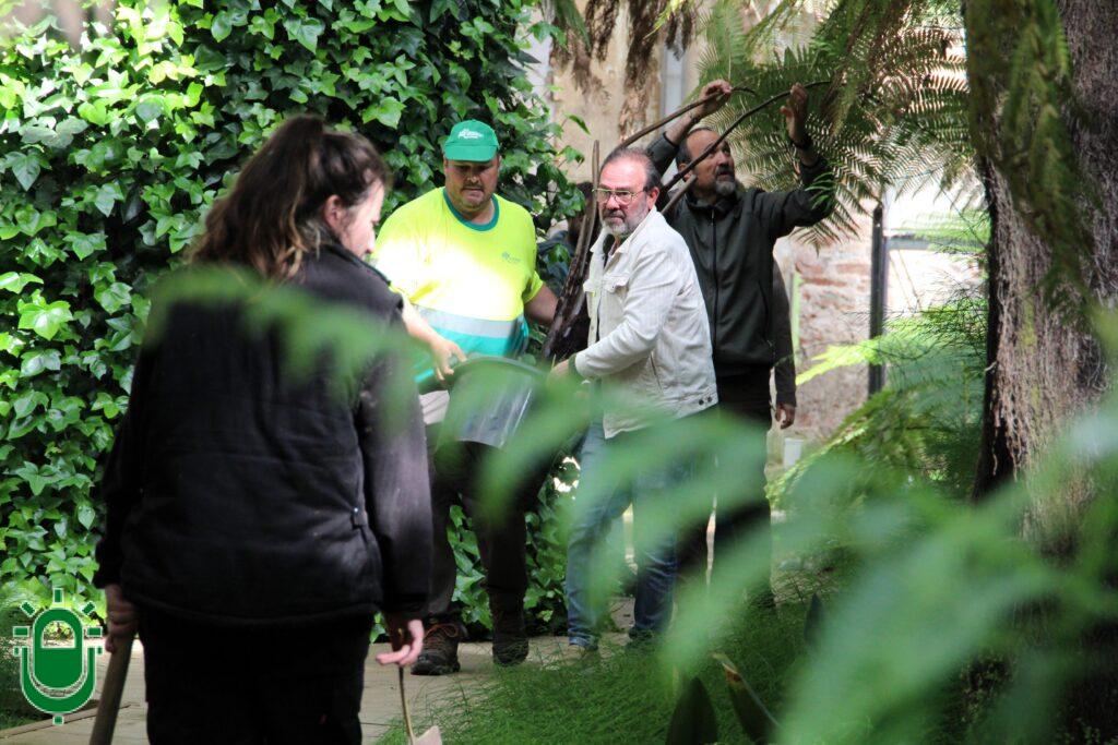 Incorporación de nuevos helechos arborescentes a Fuego Verde. La Termica Cultural 3 (1)