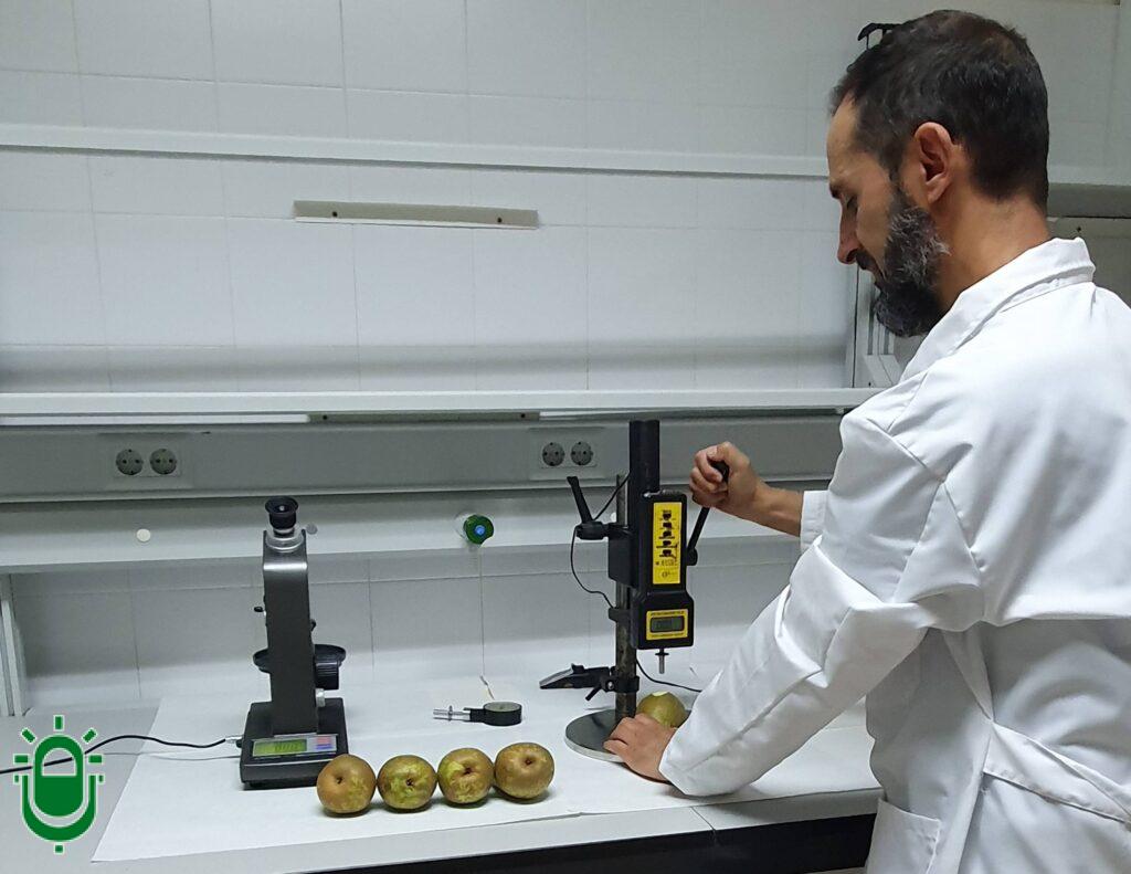 Marcos Guerra Sánchez. Universidad de León. Investigación Peras. 16 junio 2025