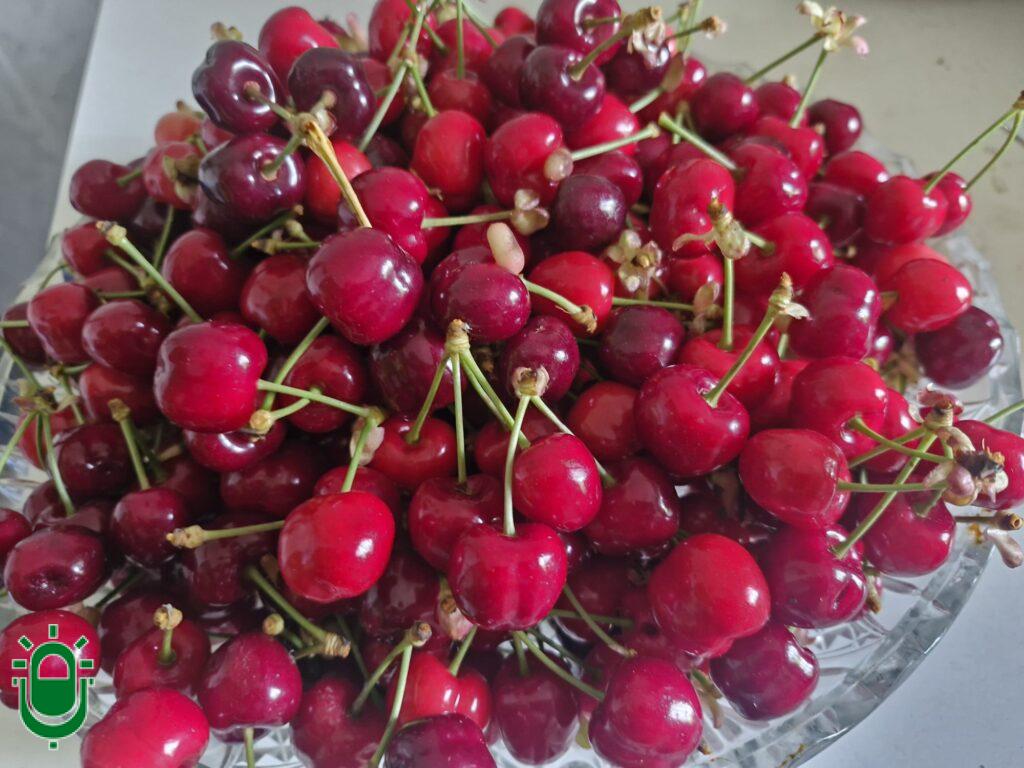 cerezas