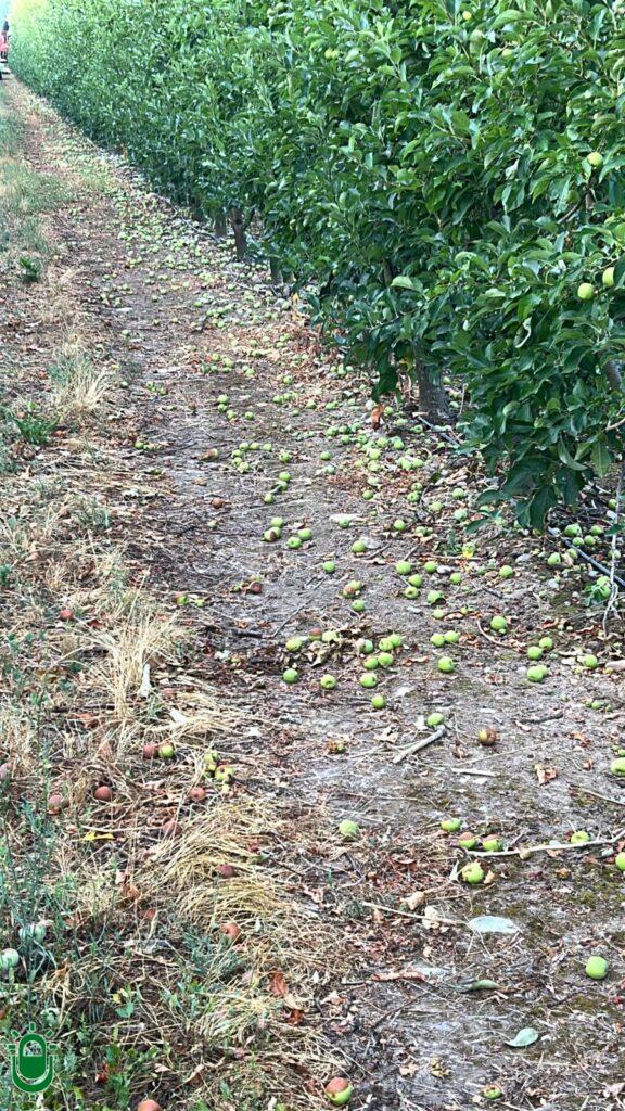 WhatsApp Image 2025-07-08 at 18.02.12