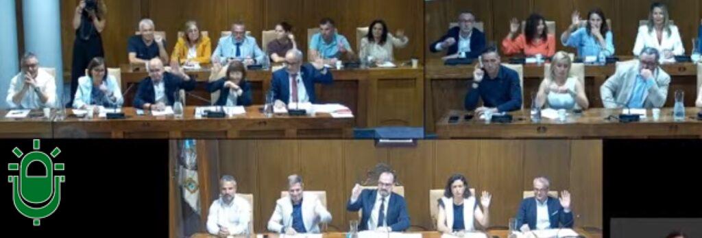 pleno 25 julio