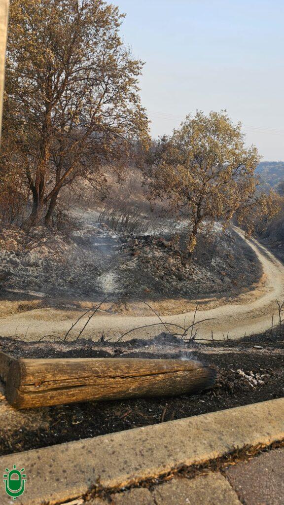 Incendio Forestal Las Médulas. El día después. Quemado