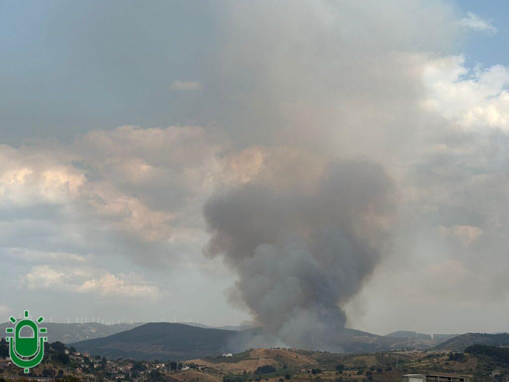 WhatsApp Image 2025-08-24 at 18.28.57