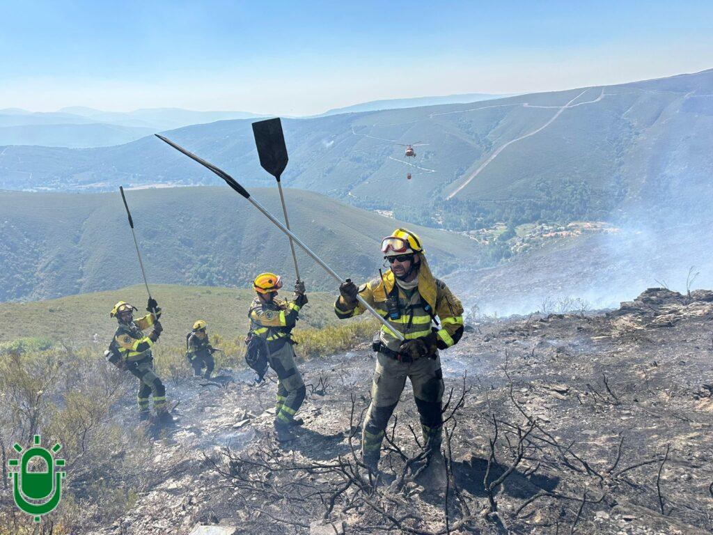 brif en Anllares