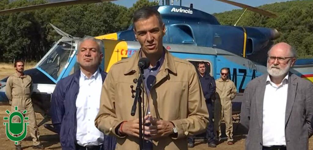 PEDRO SÁNCHEZ-BRIF
