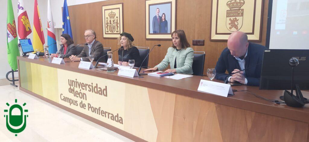 WhatsApp Image 2025-10-28 at 17.56.47