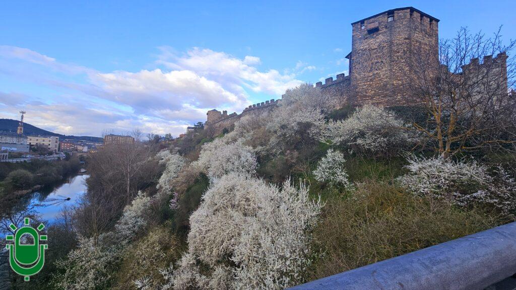 castillo templarios primavera