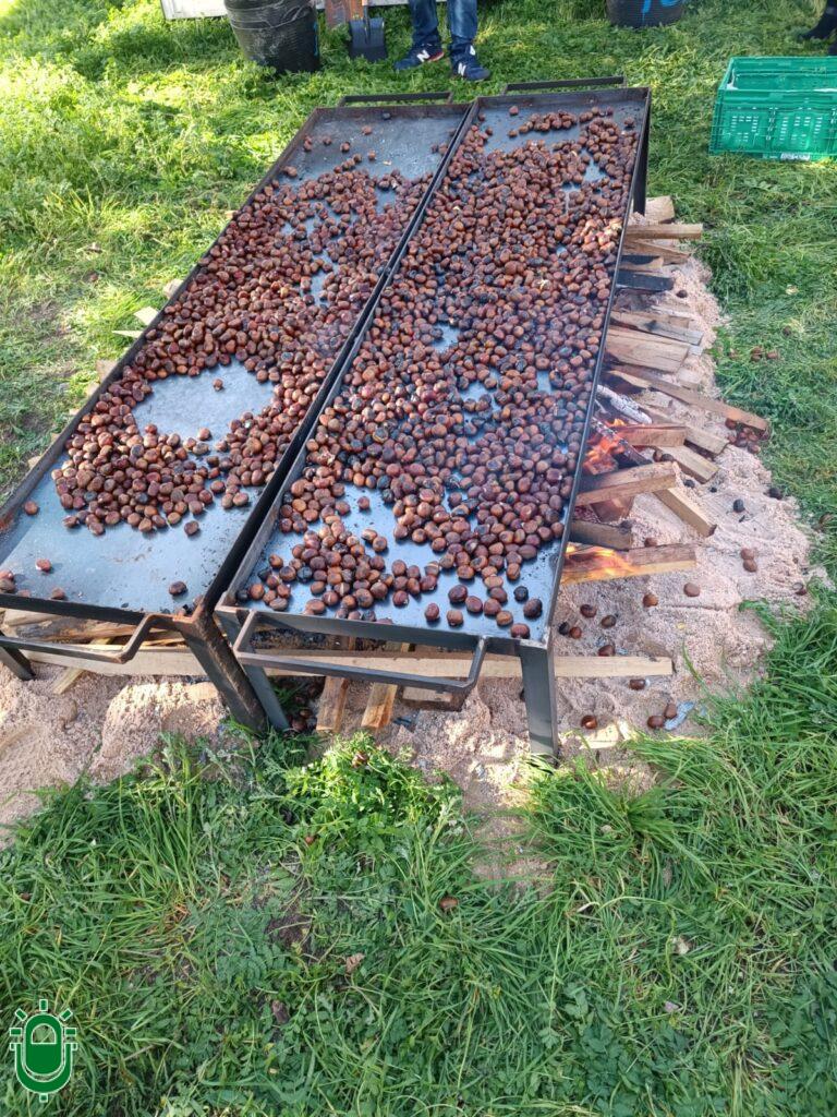 magosto Ponferrada en Intur 2023