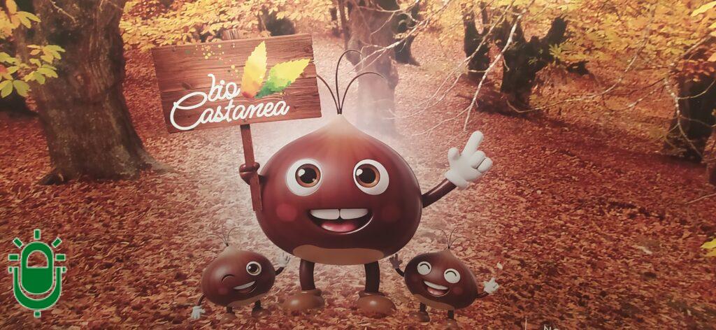 Castaña en BioCastanea