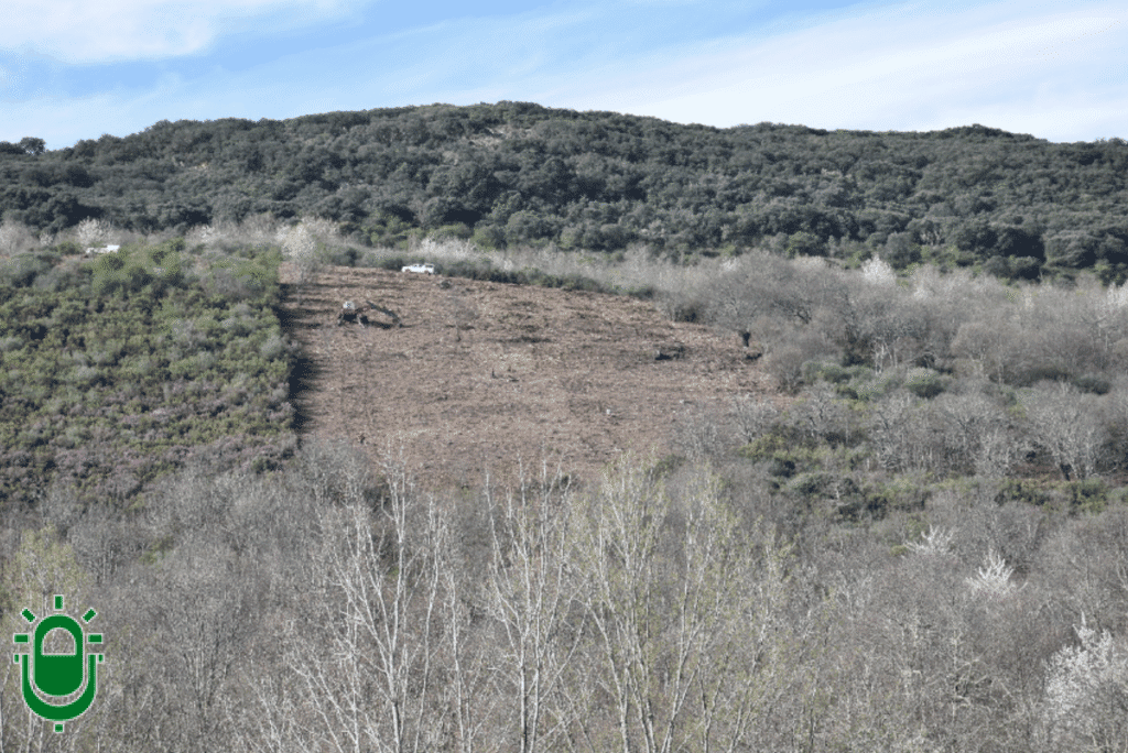 Localizacion_nueva_plantacion_castanos_sobrado