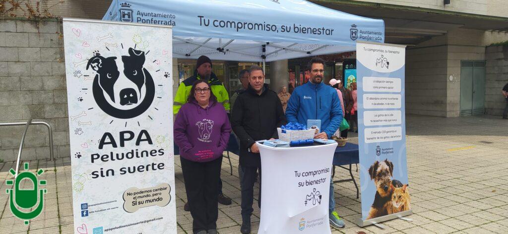 WhatsApp Image 2025-12-10 at 18.27.43