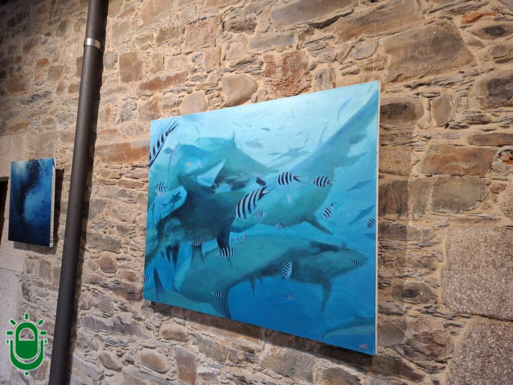 WhatsApp Image 2025-12-13 at 13.28.55 (1)