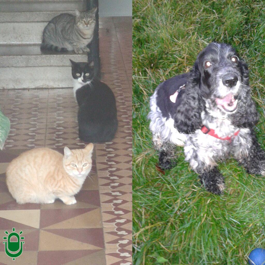 GridArt_20260116_184633814