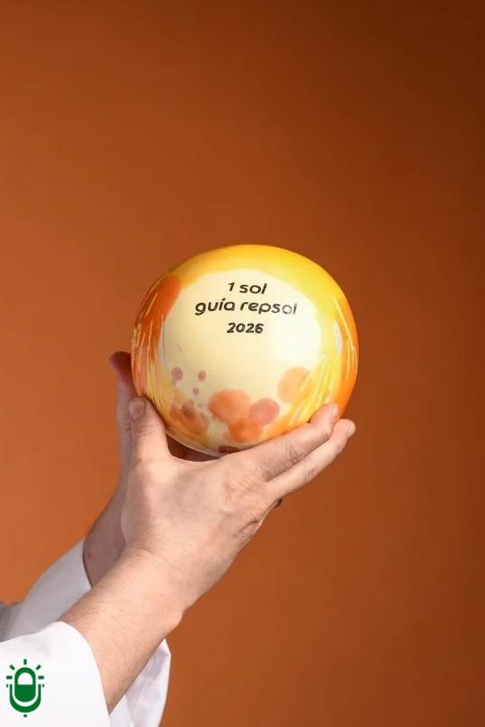 Sol Guia Repsol 2026