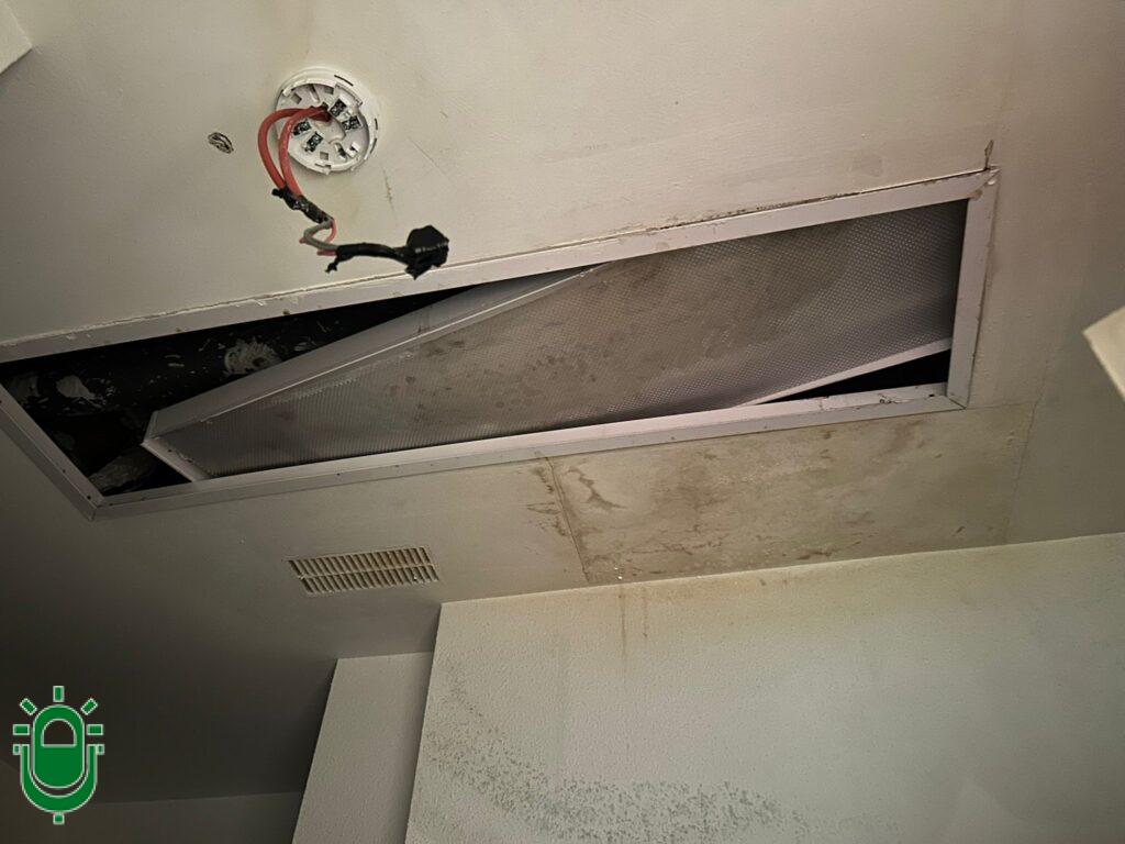 WhatsApp Image 2026-02-13 at 12.26.00-4