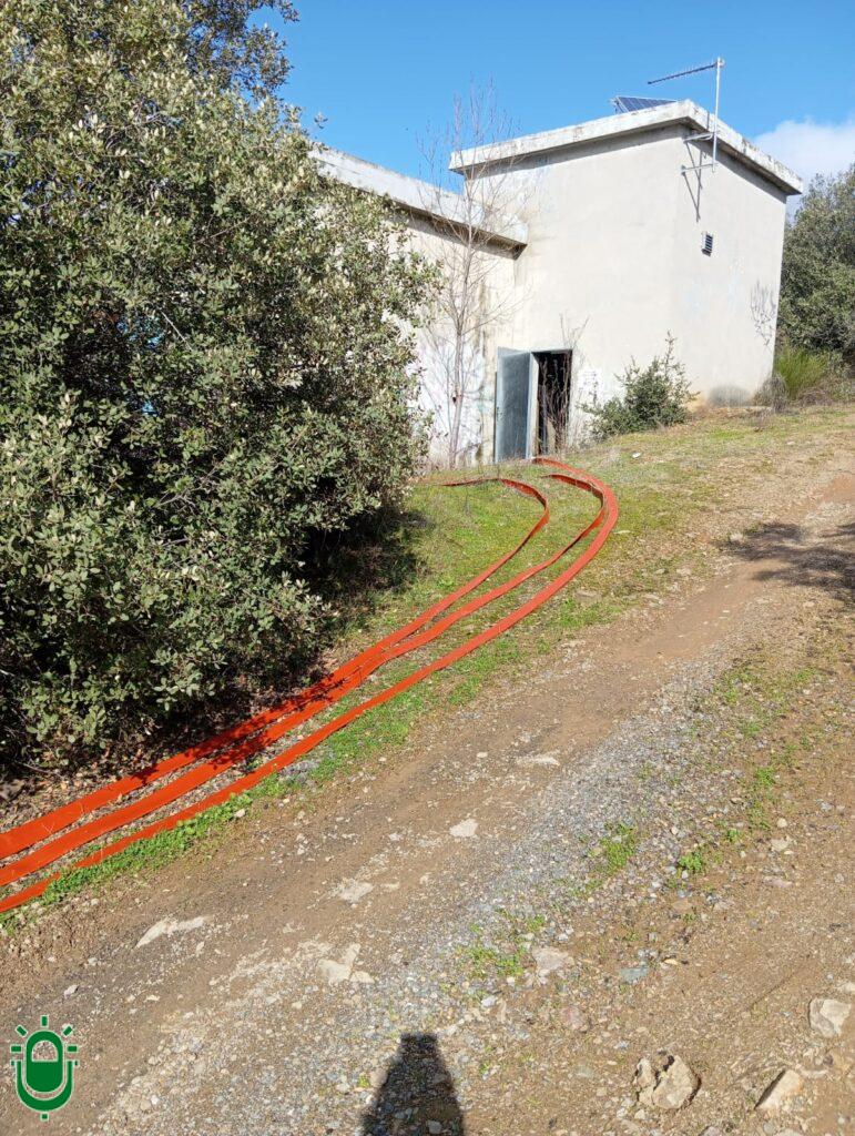 WhatsApp Image 2026-02-17 at 13.14.05