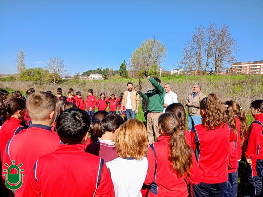 Alumnos de los colegios San Ignacio y Navaliegos plantan 150 robles en la orilla del río Sil