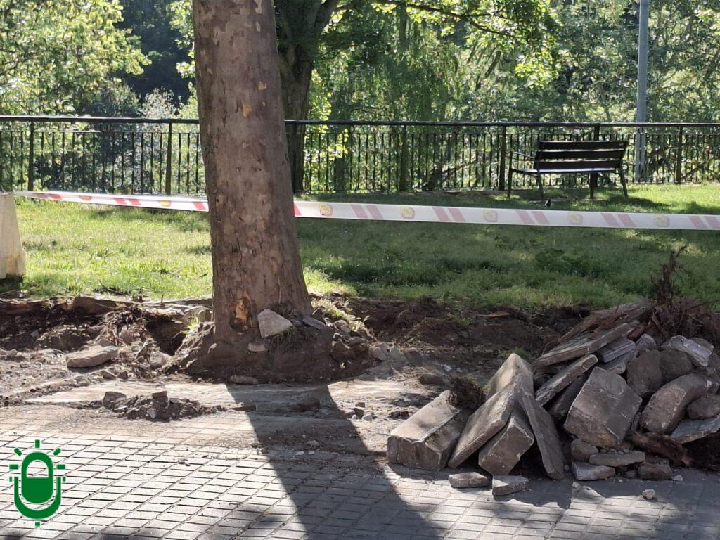 Eliminan árboles Jardines del Sil. 14 abril 2026