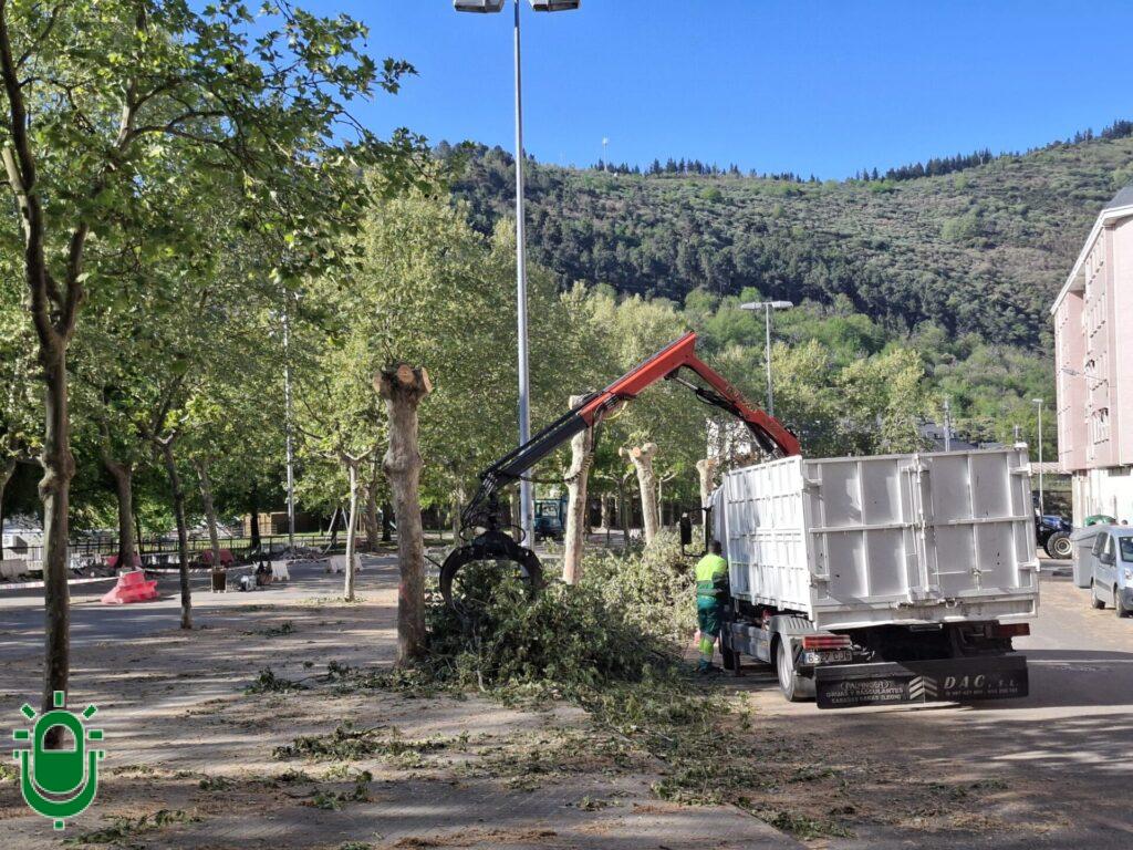 Eliminan árboles Jardines del Sil. 14 abril 2026 (5)