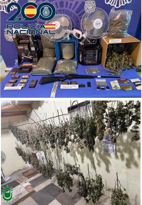 Un detenido en Ponferrada tras desmantelar una plantación «indoor» de marihuana