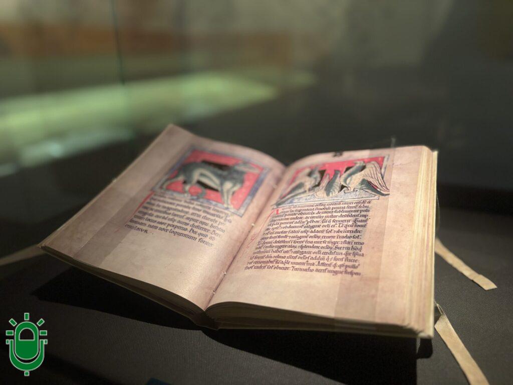 Ideas de ocio para el fin de semana