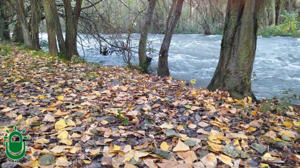 Orilla del río Sil en Ponferrada