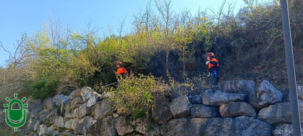 Plan Montel. Ponferrada. Desbroces. Campo. 18 marzo 2026 (2)