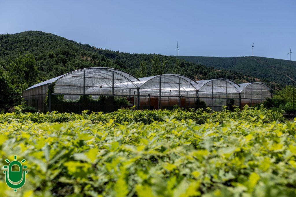 Ciuden se adhiere al Banco de Germoplasma Forestal de España. Participará en proyectos de conservación de la flora silvestre y los recursos genéticos forestales