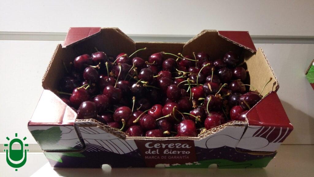 Cerezas del Bierzo