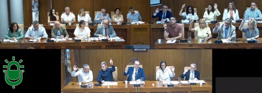 pleno 29 mayo
