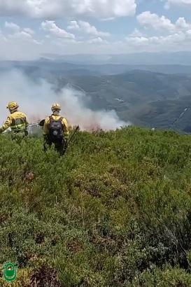 Última hora de los incendios forestales