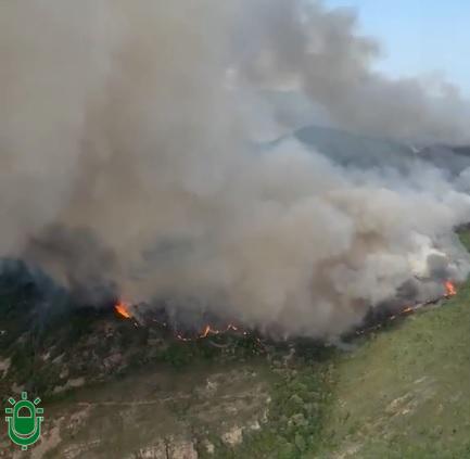 Se reactiva el incendio de San Vicente, las llamas avanzan hacia Sancedo y Vega de Espinareda