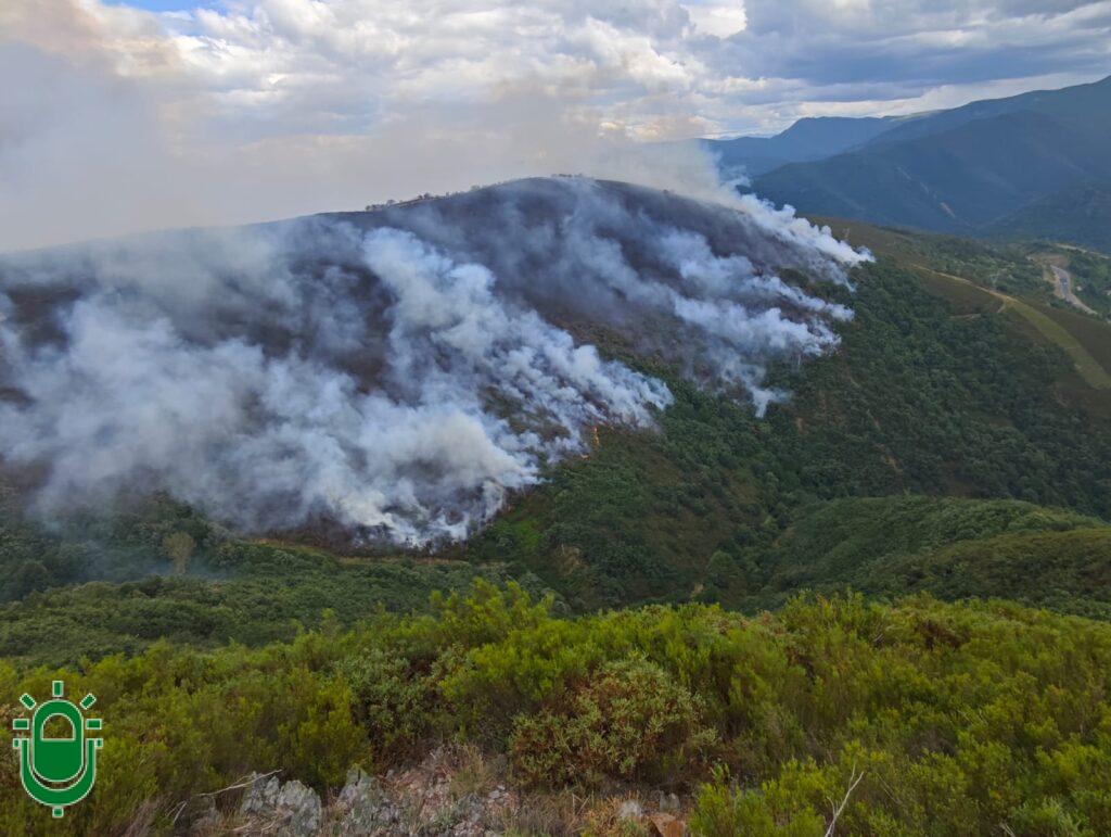 Congosto describe un «desastre ambiental» tras el incendio forestal que quedó apagado después de diez días