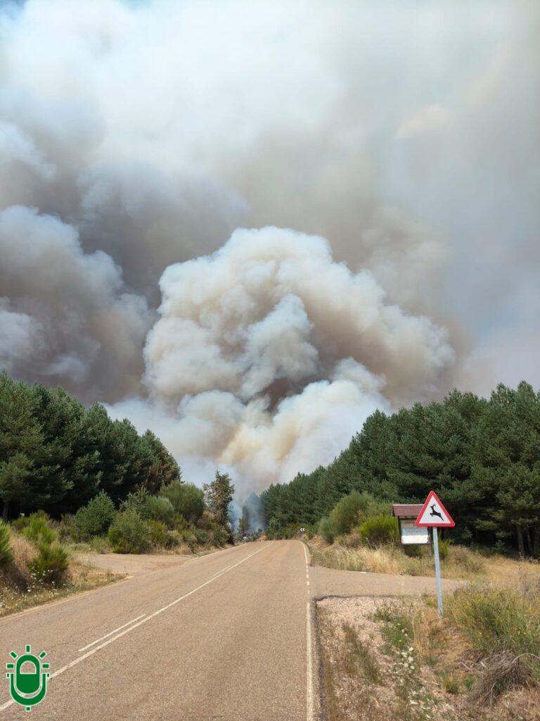 Vega de Espinareda pide ayuda para identificar al autor de los incendios que viene sufriendo el municipio