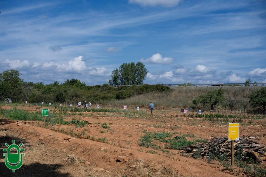 Huerto colectivo ADR Bierzo-Cabrera. 15 julio 2026 (2)