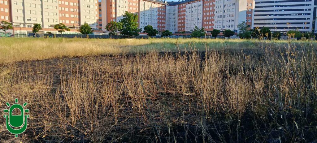 La Policía Municipal de Ponferrada detiene a dos presuntos pirómanos, a quienes se atribuyen incendios en Santo Tomás de las Ollas y La Rosaleda
