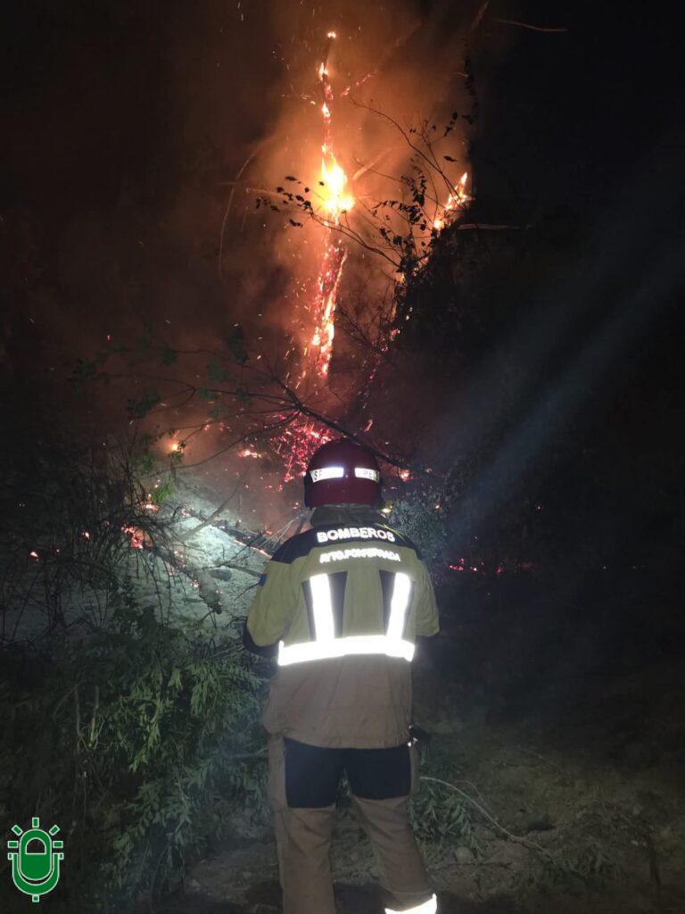 Los bomberos de Ponferrada se suman a las labores de extinción del incendio de Ávila