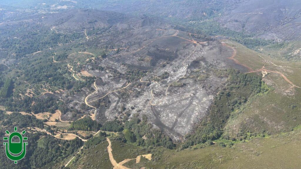 Más de 1.300 hectáreas arrasadas en el incendio de Veguellina