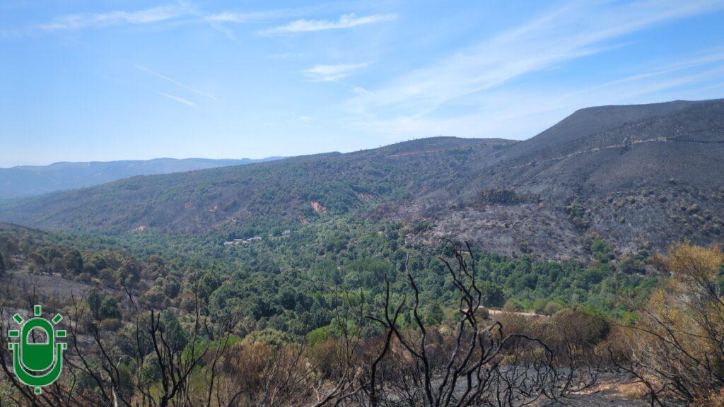 Vuelve la calma a los montes bercianos y ya no hay vecinos desalojados por los incendios