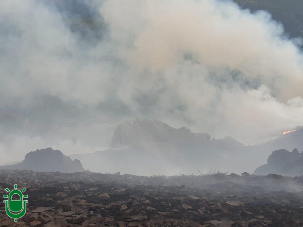Incendio en Montes de Valdueza. 17 julio 2022