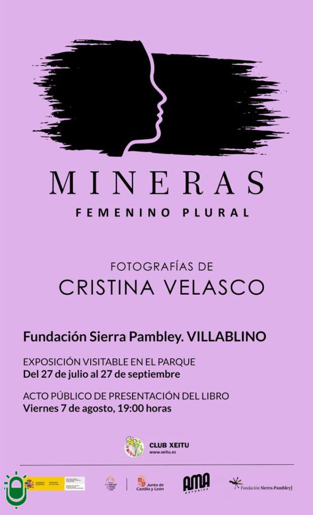 cartel-expo-mineras-villablino-660x1087