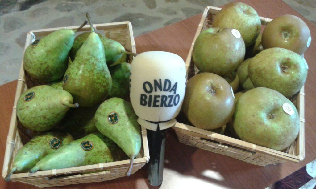 Culmina la campaña de recogida de Pera Conferencia y Manzana Reineta del Bierzo con casi 12 millones de kilos