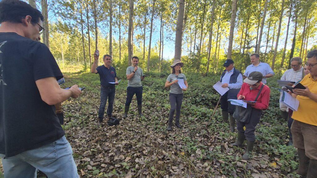 El Campus del Bierzo prueba en choperas de Francia su aplicación con IA para detectar plagas y enfermedades