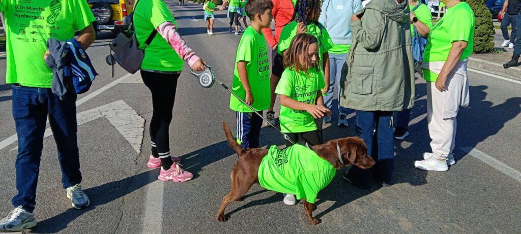 Marcha Cáncer Ponferrada 2026. Hasta los perros